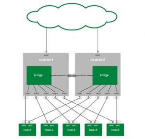 Cara menggunakan Cumulus Linux VRR