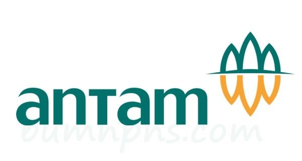 pekerjaan instalasi Lan, wifi, mikrotik di antam