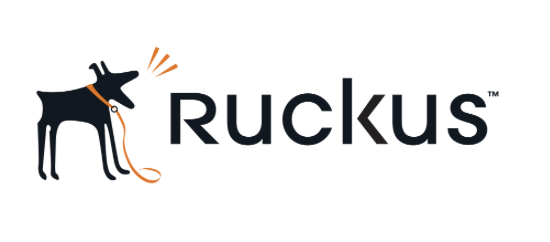 Jasa instalasi ruckus